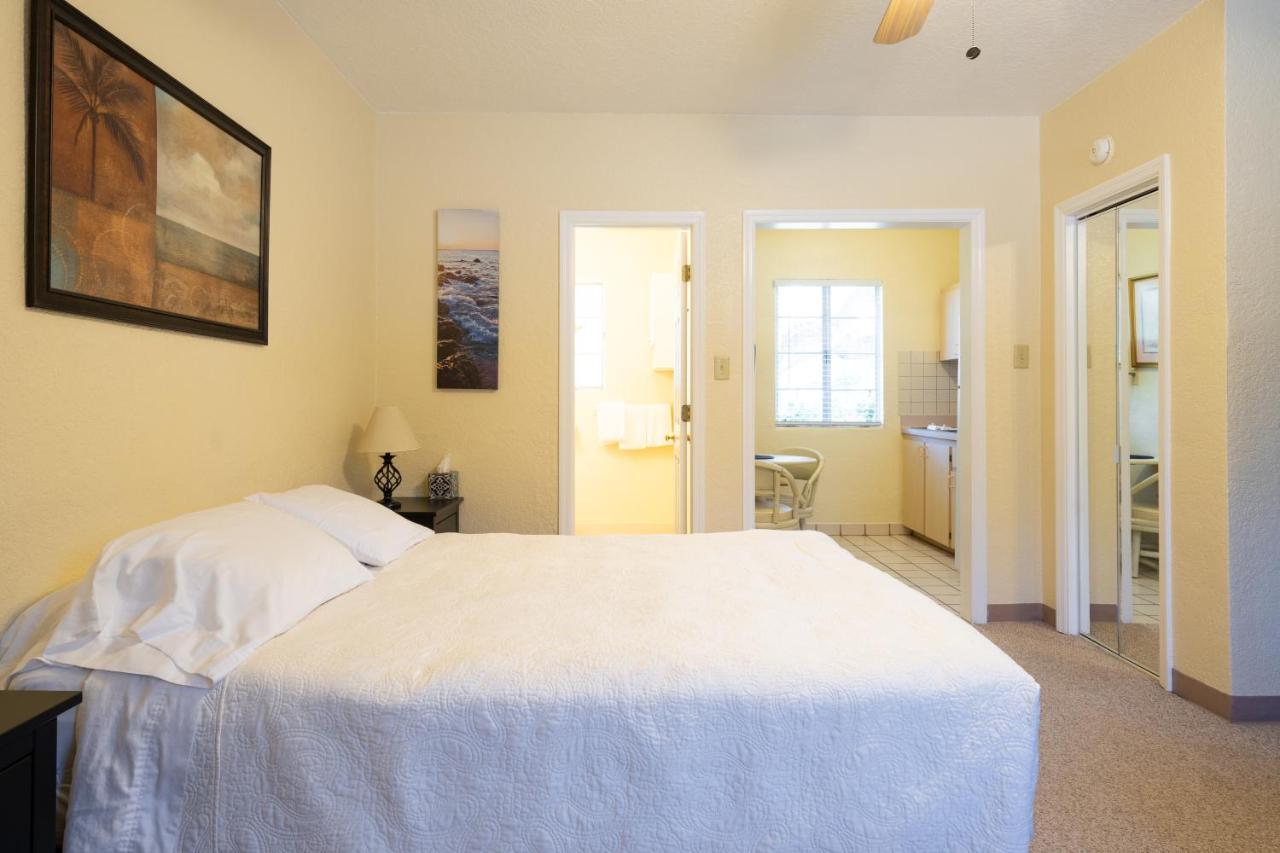 Mar Bay Exclusive Suites Safety Harbor Exteriör bild