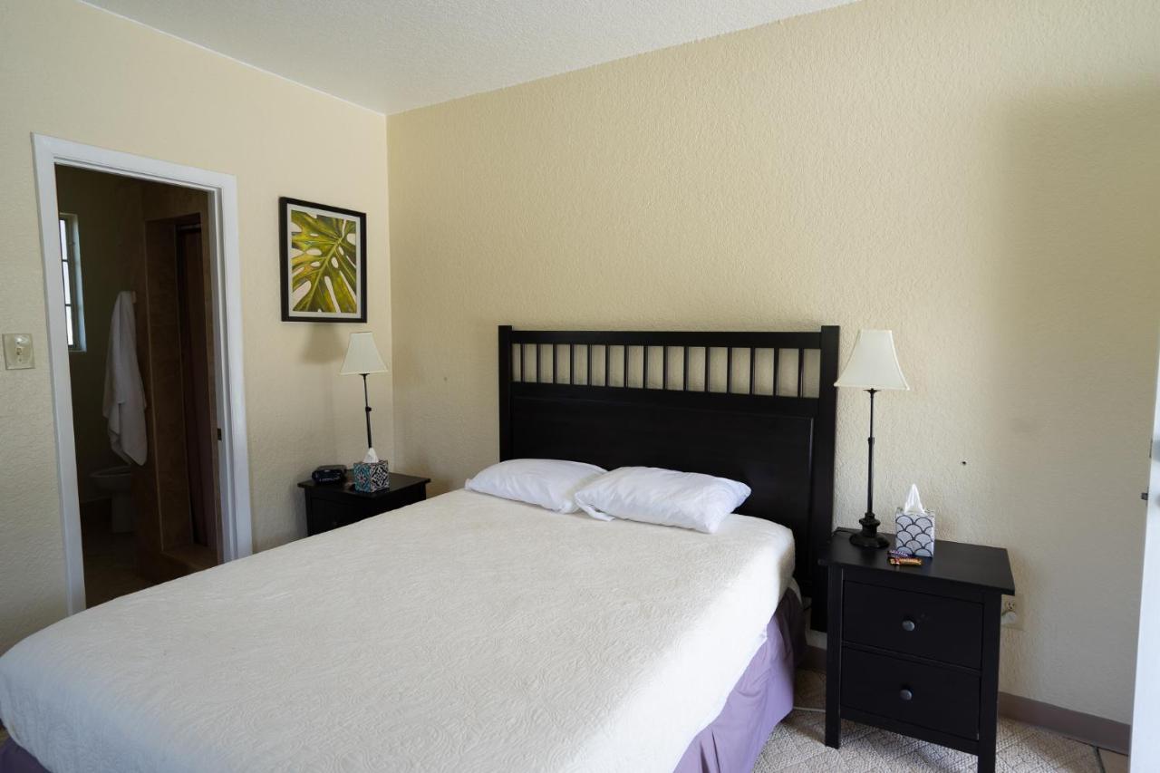 Mar Bay Exclusive Suites Safety Harbor Exteriör bild