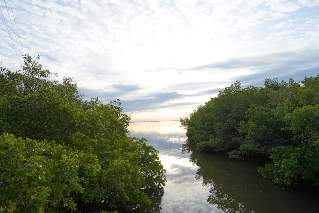Mar Bay Exclusive Suites Safety Harbor Exteriör bild